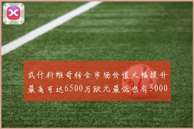 武什科维奇转会市场价值大幅提升最高可达6500万欧元最低也有5000万欧元