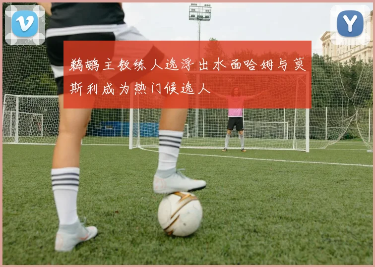 鹈鹕主教练人选浮出水面哈姆与莫斯利成为热门候选人